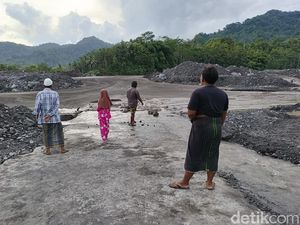 Banjir Lahar Semeru Tenggelamkan Rumah Warga, 137 KK Terisolasi di Bukit