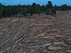 Kayu Dibawa Banjir di Aceh Bakal Jadi Bukti Pelanggaran Hukum Lingkungan
