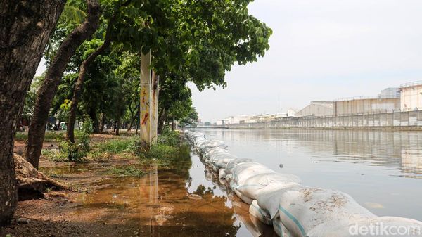 Kali Sunter Meluap, Warga Lagoa Jakut Waspada