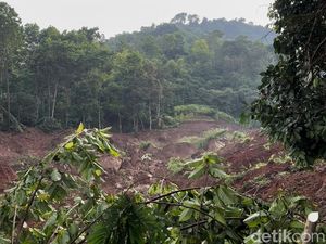 Resah Kakek di Arjasari Bandung Menanti Cucu yang Tertimbun Longsor