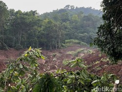Resah Kakek di Arjasari Bandung Menanti Cucu yang Tertimbun Longsor