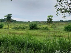 Lahan 15 Hektare Disiapkan untuk Bangun SOR Atlet di Baribis