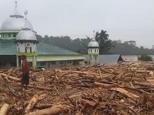 Desa Sekumur di Aceh Tamiang Hilang Disapu Banjir, Hanya Tersisa Masjid