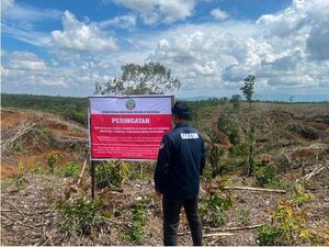 Menyoal Regulasi dan Pengawasan Terhadap Deforestasi Alam di Sumatera