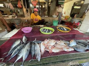 Harga Ikan Laut di Pasar Puri Pati Ngegas!