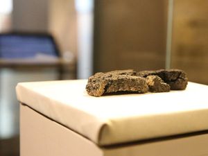 Wow! Penemuan Roti 5.000 Tahun Ini Ungkap Pola Makan Manusia Purba