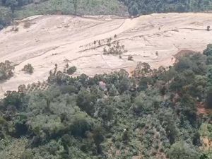 Menteri LH Hentikan Sementara Operasional 3 Perusahaan Tambang di Tapsel