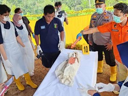 Bikin Elus Dada, Ini Motif Ibu di Trenggalek Tega Bunuh Bayinya