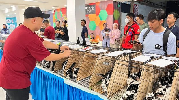 INDRC (IndonesianNDRabbitClub) kontes