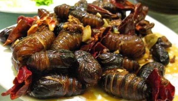 Ekstrem! 10 Makanan Khas India dari Otak Babi hingga Telur Semut