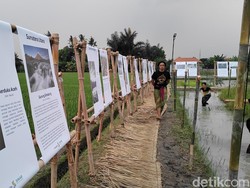 Kritik Eksploitasi Lingkungan lewat Pameran Foto di Tengah Sawah Abian Carik