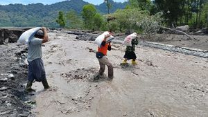 Potret Petugas Tembus Banjir Lahar Semeru Demi Salurkan Logistik