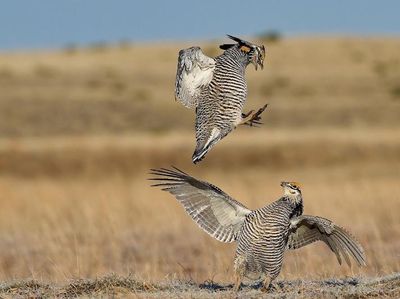 Terpukau Jawara Kontes Foto Ilmiah, Ada yang Pakai iPhone 16 Pro Max