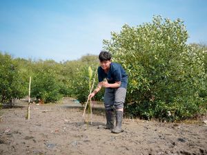 Siswa SMPN 1 Surabaya Tanam Ribuan Mangrove Cegah Abrasi dan Banjir