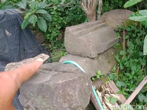 Situs Candi Bekelan Klaten, Puing Sejarah yang Tertimbun Pohon-Semak