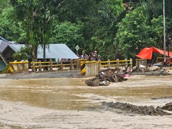 Sungai Batang di Agam Sumbar Meluap Lagi, Gelondongan Kayu Nyangkut di Jembatan