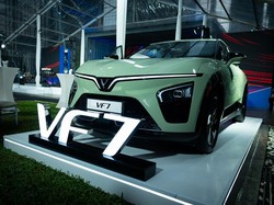 7 Figur inspiratif di Mata VinFast