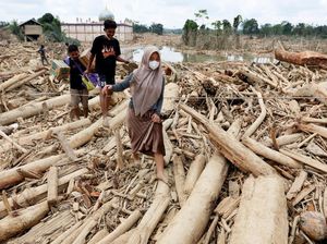Video: Operasional 4 Perusahaan Disetop Menyusul Temuan Kayu Banjir Sumatera