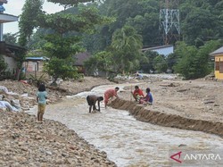 Sungai di Sibolga Alami Pendangkalan Usai Longsor, Berubah Jadi Bak Daratan