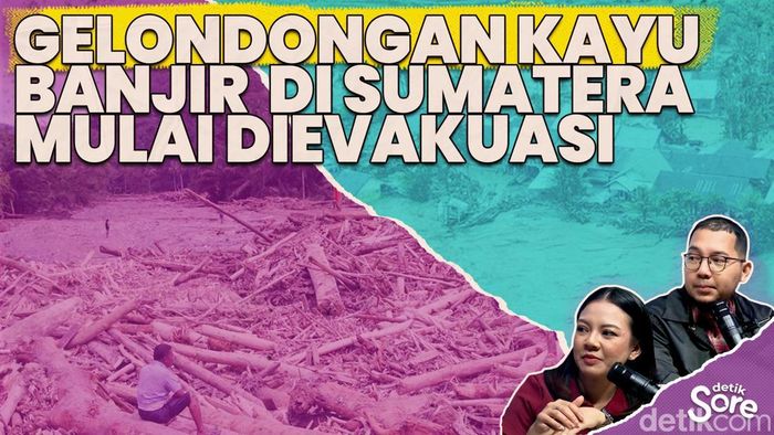 Video: Misteri Kode Angka di Gelondongan Kayu Banjir Sumatera