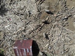 Video: KLH Dalami Kemungkinan Cemaran Sampah B3 Pascabanjir Sumatera