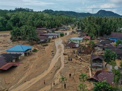 Daftar Perusahaan yang Disegel, Diduga Picu Banjir di Sumatera