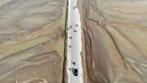 Ribuan Hektare Sawah Rusak, Petani Aceh Berjuang Pulihkan Lahan Pascabencana