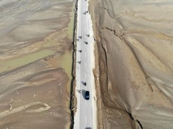 98.000 Hektare Sawah Terdampak Bencana Sumatera Mulai Direhabilitasi