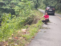 Identitas 3 Korban dalam Mobil yang Masuk Jurang di Batas Kerinci