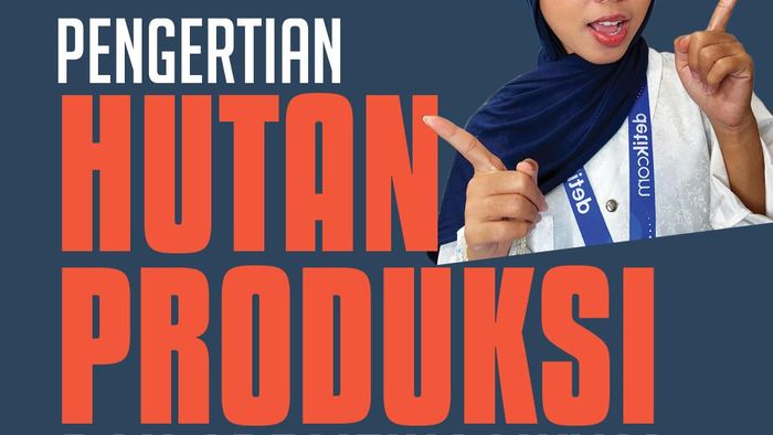 Video Tambah Tahu: Pengertian Hutan Produksi dan Spesifikasinya!