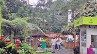 Upaya Taman Safari Bogor Jaga Keberlangsungan Wisata dan Konservasi