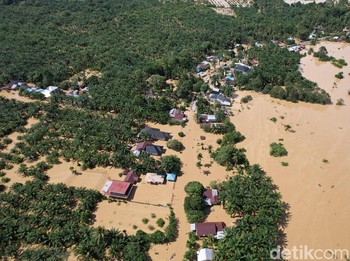Malapetaka Ekologis di Separuh Pulau Sumatera