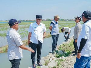 Swasembada Pangan Jadi Alasan di Balik Gratisnya Pajak Sawah di Karawang