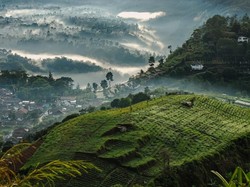 Nggak Perlu ke Eropa, Winter-Vibes di Jabar Siap Meriahkan Libur Nataru!