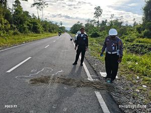 Remaja Mabuk di Mimika Jatuh dari Motor Tewas Terlindas Avanza