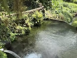 Petung Natural Water, Surga Pemandian Bening Tersembunyi di Karangasem