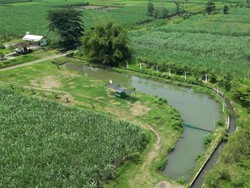 Menjelajahi Desa Wisata Keling Kediri, Sejarah hingga Ragam Daya Tariknya