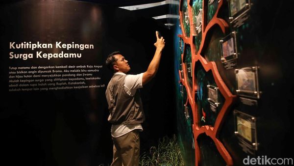 Ecophilia Dibuka di Museum BI, Tawarkan Edukasi Lingkungan Lewat Cerita Rupiah