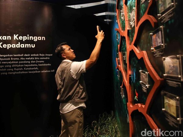 Ecophilia Dibuka di Museum BI, Tawarkan Edukasi Lingkungan Lewat Cerita Rupiah