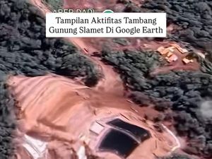 ESDM Jateng soal Titik Gundul di Gunung Slamet: Itu 2018, Kini Hijau Lagi