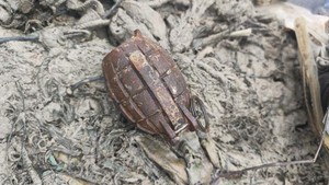 Nelayan di Bangka Barat Temukan Granat Nanas di Pantai Limbung