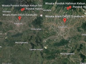 Citra Satelit Ungkap Penyusutan Hutan di Selabintana Sukabumi