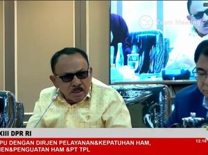Anggota DPR Maruli Siahaan Sebut Masyarakat Tak Punya Hak Katakan Tutup TPL