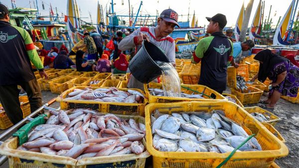 Nelayan Pantura Tuban Kini Terlindungi Program Jaminan Sosial Ketenagakerjaan