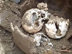 Geger! Warga Temukan 3 Tengkorak Manusia dalam Guci Terpendam di Bengkulu