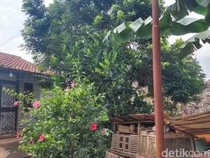 Derita Warga Serpong yang Rumahnya Nyaris Terkubur Sampah: Sesak Nafas-Gatal!