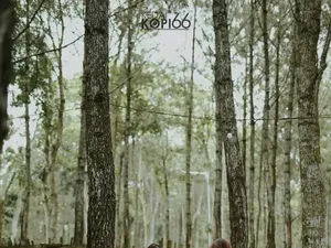 Kedai Kopi 66 Kediri, Ngopi di Tengah Hutan Pinus yang Sejuk dan Tenang