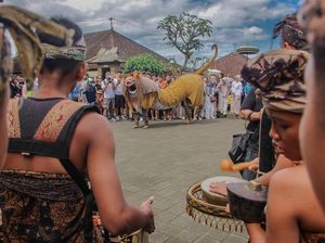 Desa Penglipuran Suguhkan Parade 15 Barong Macan dan Drama Saat Nataru