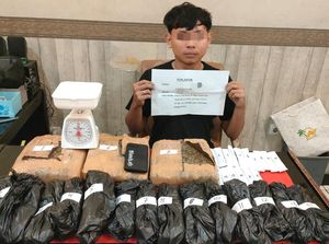 Remaja Pengedar 4,1 Kg Ganja di Jambi Ditangkap, Akui Sudah 6 Kali Jual
