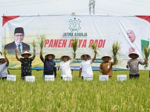 Jatma Aswaja Gelar Panen Raya Padi di Tegal Dukung Ketahanan Pangan Nasional
